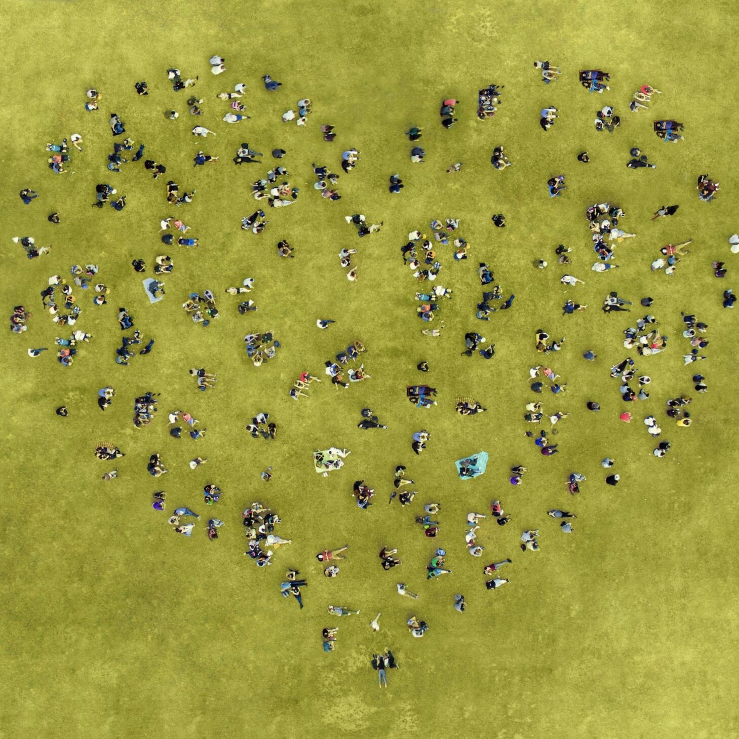 People sunbathing in the Park while forming a heart